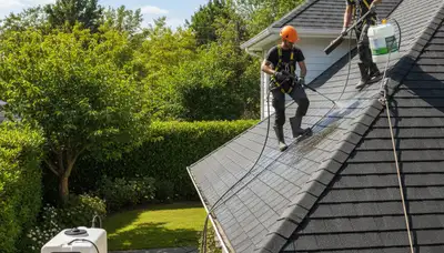 Jacksonville, FL siding and roof cleaning by FX Remodeling & Exteriors